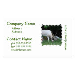 Grazing Addax Business Cards business cards