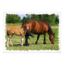 Grazing Horse Family Invitation