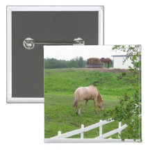 Grazing Horses Pins
