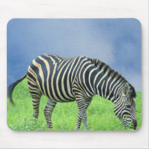 Grazing Zebra Mousepad