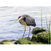 Great Blue Heron Photo Sculpture