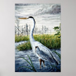 Great blue heron posters