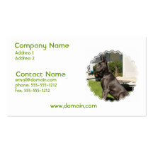Great Dane Business Card
