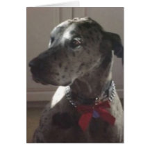 Great Dane Card