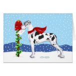 Great Dane Christmas Mail Harlequin UC Greeting Card