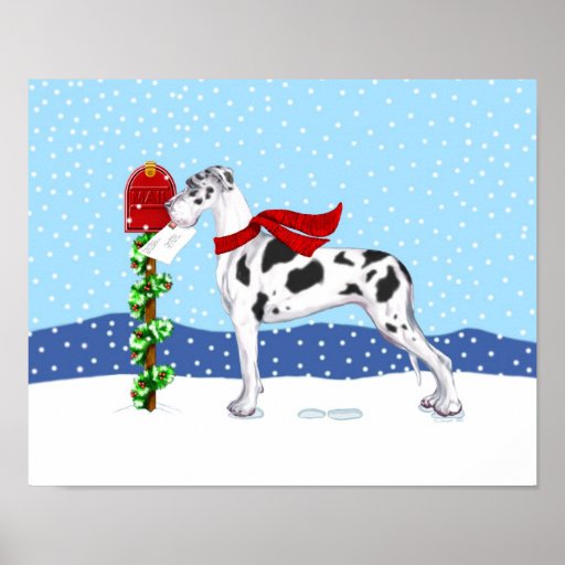 Great Dane Christmas Mail Harlequin UC Poster