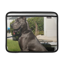 Great Dane Dog 13" MacBook Sleeve