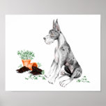 Great Dane Naughty Pup MerleB Poster