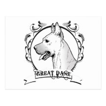 GREAT DANE POSTCARD