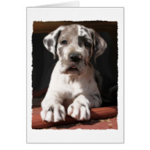 Great Dane Puppy Card