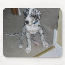 great dane puppy mouse pad