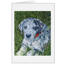 Great Dane Puppy Notecard