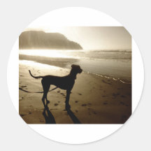 Great Dane Puppy Sunset Stickers