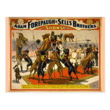 Great Danes / Dogs Circus Poster Postcard