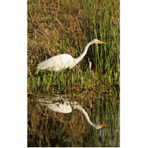 Great egret wading cut outs