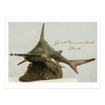 Great Hammerhead Shark Post Card