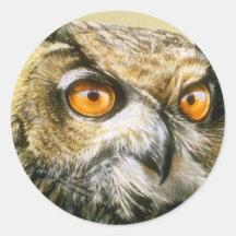 Great-Horned-Owl Stickers