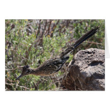 Greater Roadrunner Rock Run Card