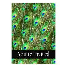 Green & Blue Peacock Feather Pattern Personalized Announcement