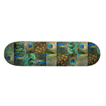 Green Blue Peacock photo collage Skate Board