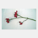 Green branch with tiny red fruits against a white stickers