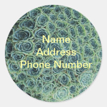 Green cactus Address Sticker