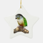 Green Cheek Conure Ornaments