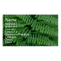 Green Ferns Nature Photography Business Card