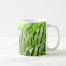 Green Fish Mugs