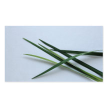 green foliage business card templates