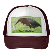 Green Heron with fish Hat