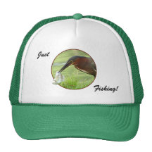 Green Heron with fish Hat 2