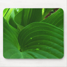 Green Hosta Leaf Mousepad