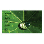 Green leaf business card template
