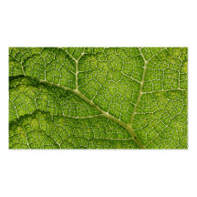 Green Leaf. Digital Art. Business Card Templates