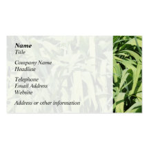 Green Leaves. Business Card
