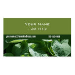 green leaves, nature, contemporary business card