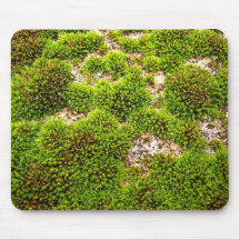 Green Moss Covers Rock Mouse Pad