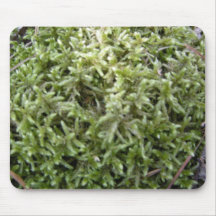 Green	moss Mouse Pad