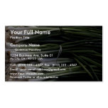 Green onions business card