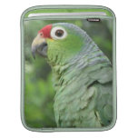Green Parrot iPad Sleeve