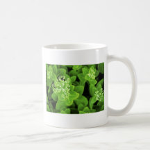 Green plant extravaganza coffee mugs
