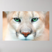 GREEN POSTERS