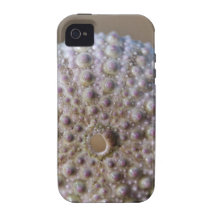 Green sea urchin shell iPhone 4/4S cases
