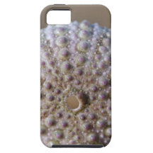Green sea urchin shell iPhone 5 cases