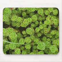 Green Sedum Mousepad 2