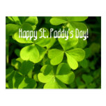 Green Shamrocks, St. Paddy's Day Postcard