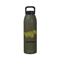 Green Stegosaurus Dinosaur Personalised Kids Water Bottle