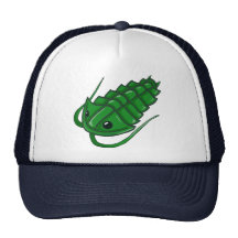 Green Trilobite Hat