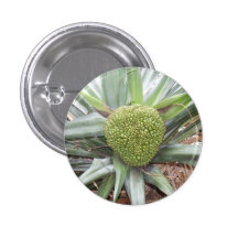 GREEN TROPICAL FRUIT BADGE BUTTONS